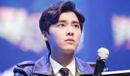 罗志祥爆料李易峰视频,真相与争议并存